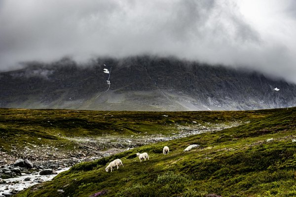 Voyageextraordinaire