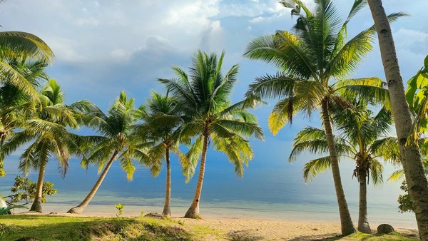Où pratiquer le snorkeling au milieu des raies manta à Hawaii ?